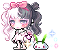 Waeri